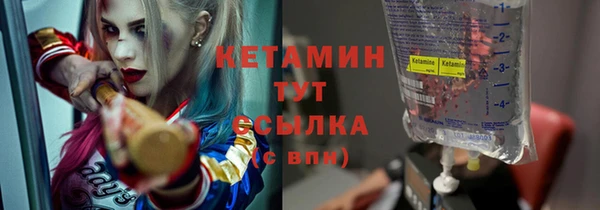 прущий лед Богданович
