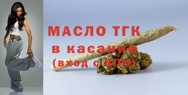 прущий лед Богданович