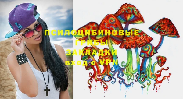 прущий лед Богданович