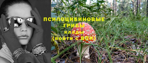 гидра Белокуриха